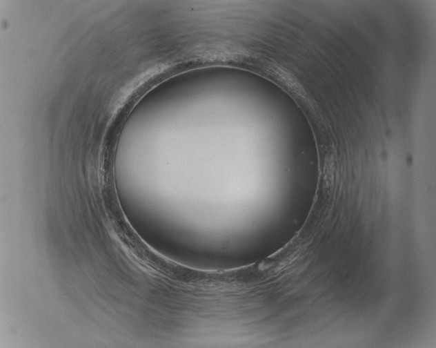 X0000056030722200509021821