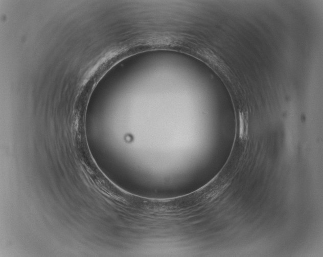 X0000056030723200509021821