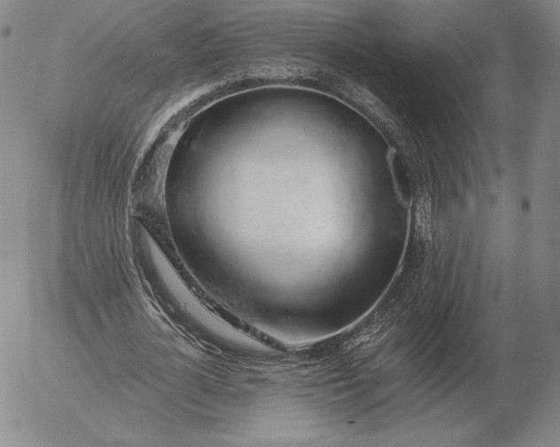 X0000056030724200509021821