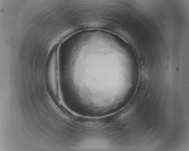 X0000056030725200509021821