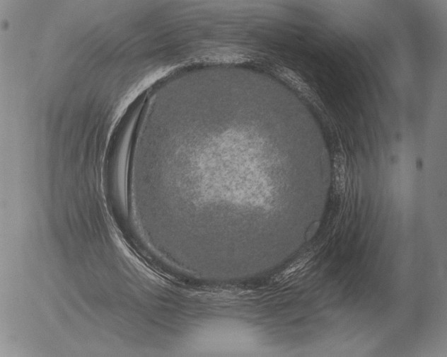 X0000056030726200509021821