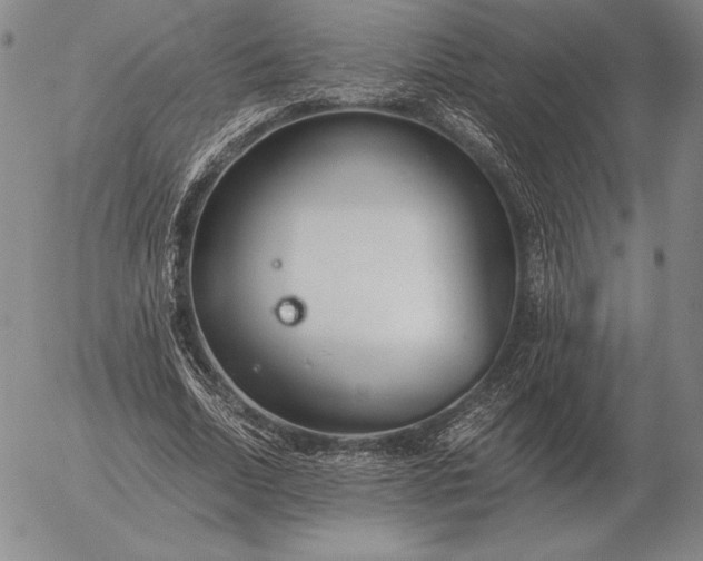 X0000056030730200509021821