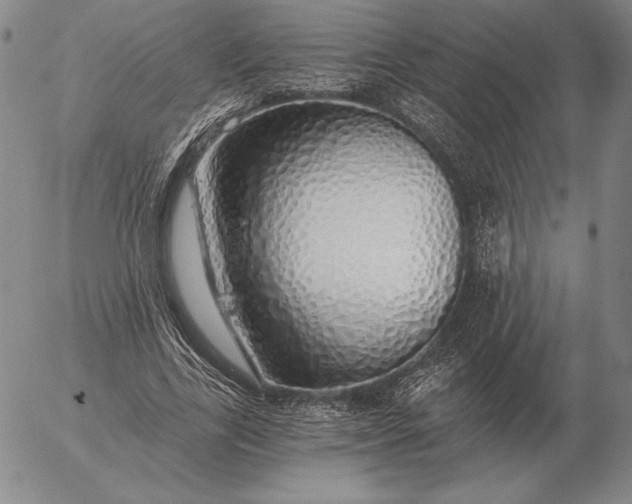 X0000056030731200509021821