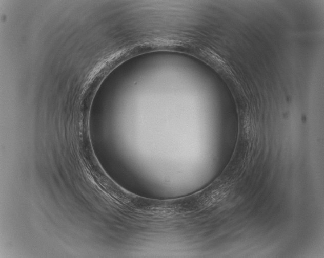 X0000056030732200509021821