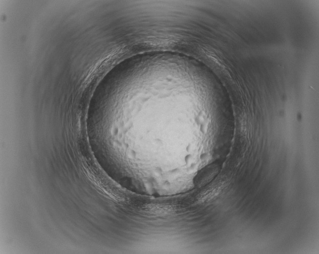 X0000056030733200509021821