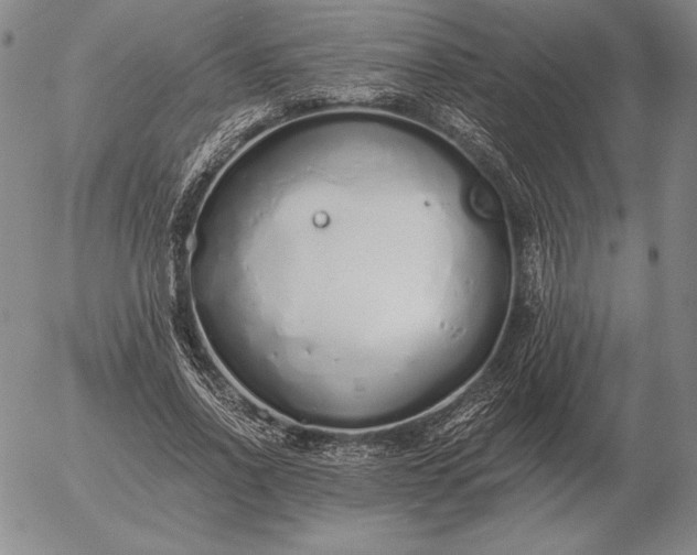 X0000056030734200509021821