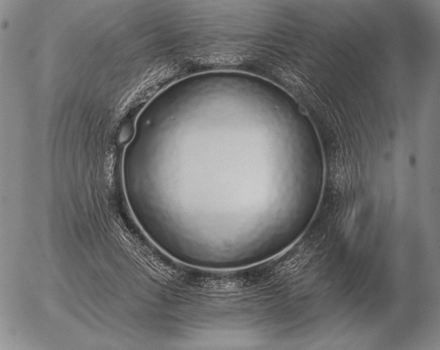 X0000056030735200509021821