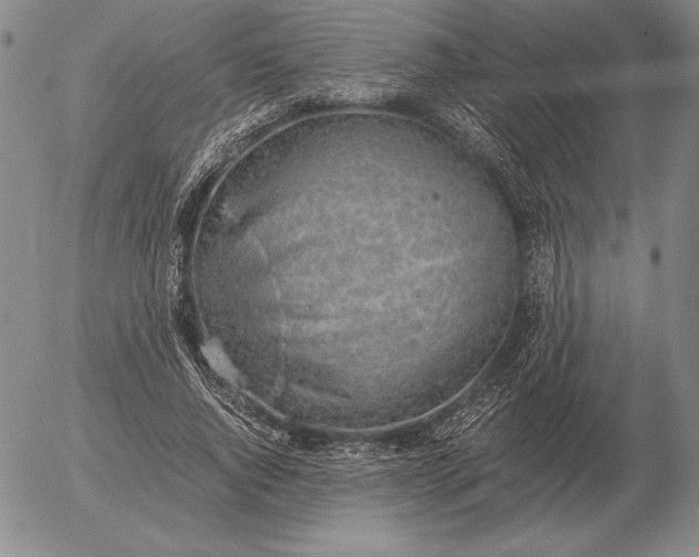 X0000056030736200509021821