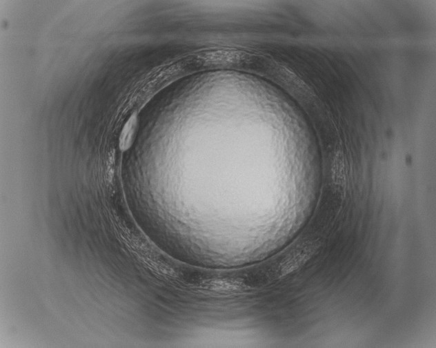 X0000056030737200509021821