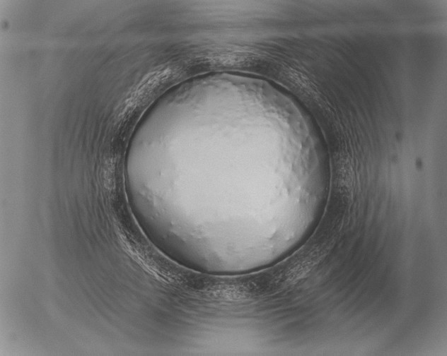 X0000056030738200509021821