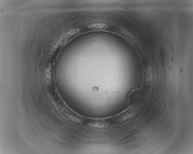 X0000056030739200509021821