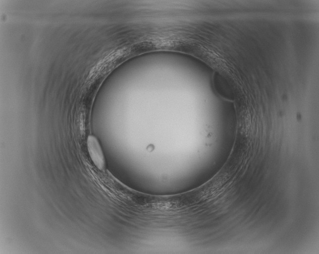 X0000056030740200509021821