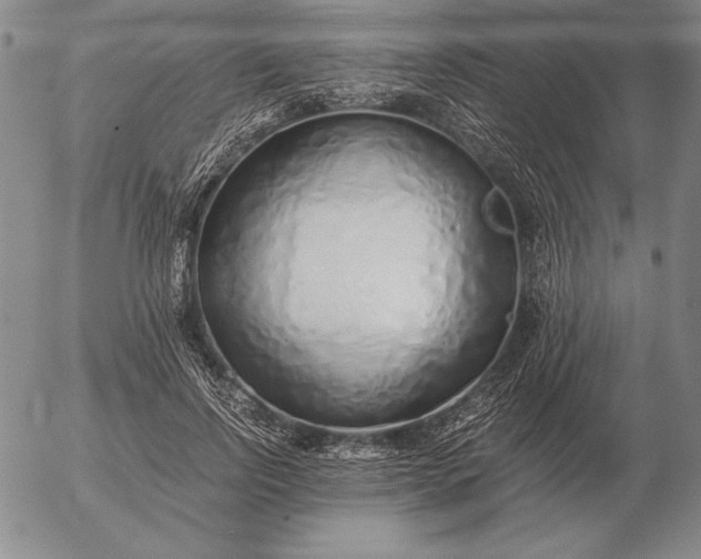 X0000056030742200509021821