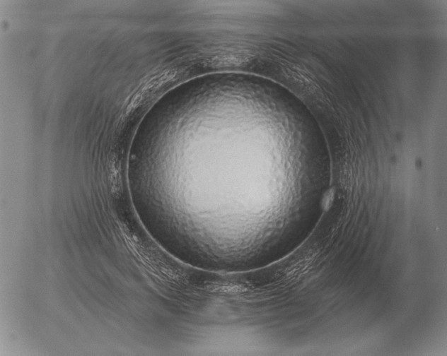 X0000056030743200509021821