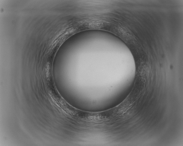 X0000056030744200509021821