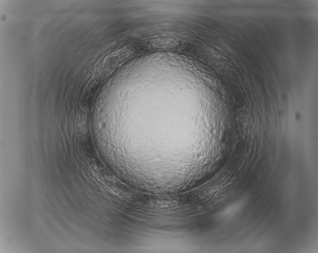 X0000056030745200509021821