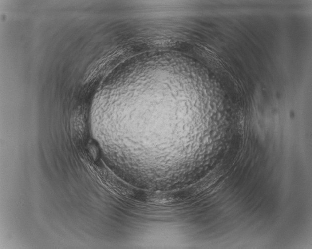 X0000056030746200509021821