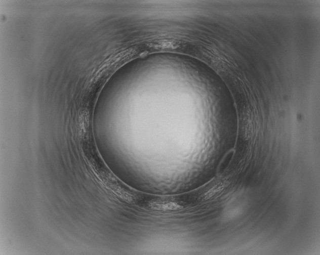 X0000056030747200509021821