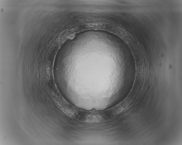 X0000056030749200509021821