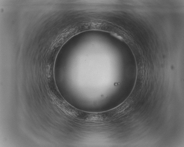 X0000056030750200509021821