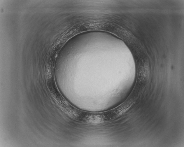 X0000056030751200509021821