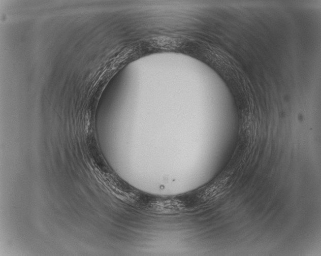 X0000056030752200509021821