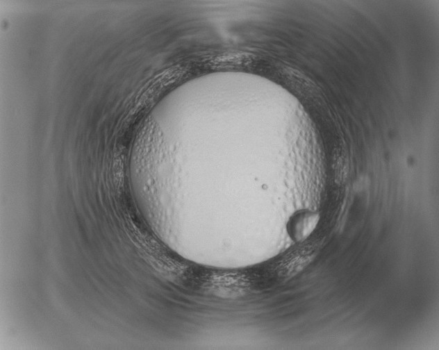 X0000056030753200509021821