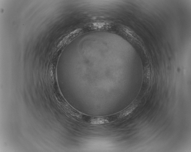 X0000056030754200509021821