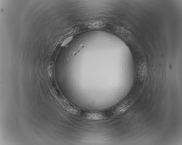 X0000056030755200509021821