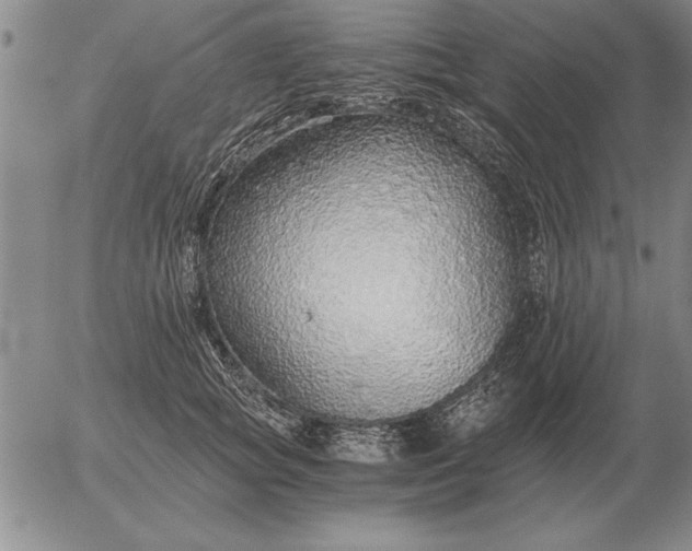 X0000056030757200509021821