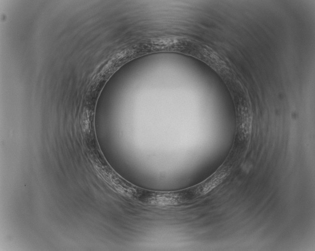 X0000056030758200509021821