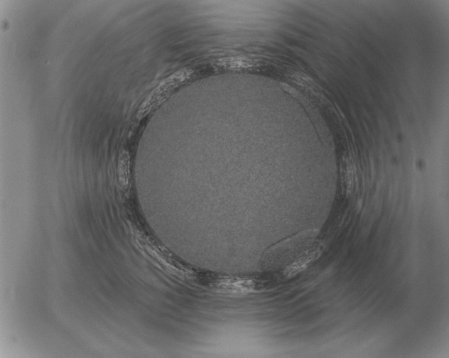 X0000056030760200509021821