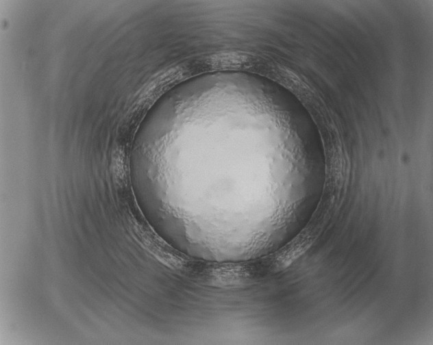 X0000056030761200509021821