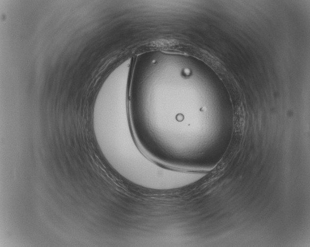 X0000056030762200509021821