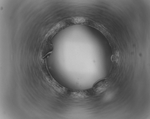 X0000056030763200509021821