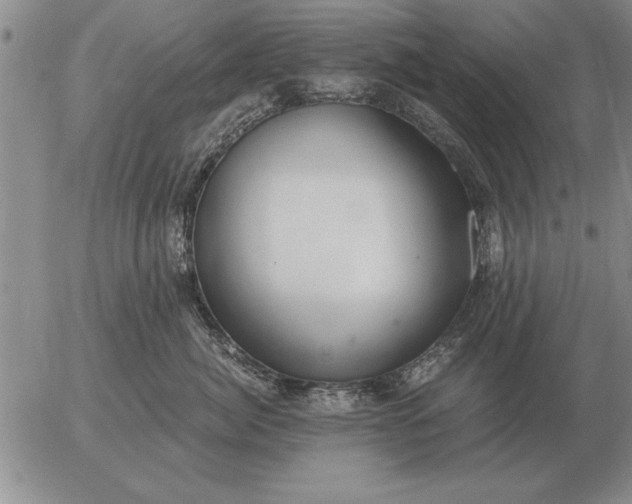 X0000056030764200509021821