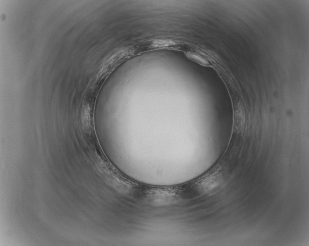 X0000056030765200509021821