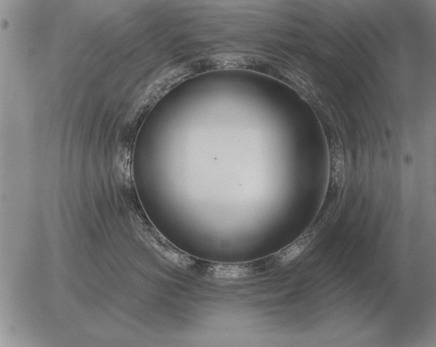 X0000056030766200509021821