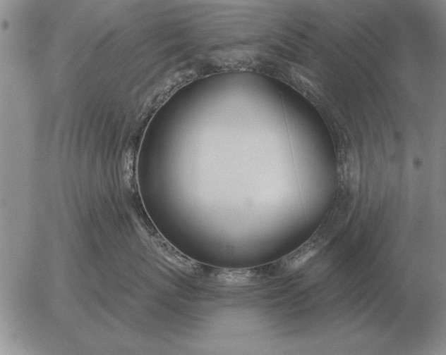 X0000056030767200509021822