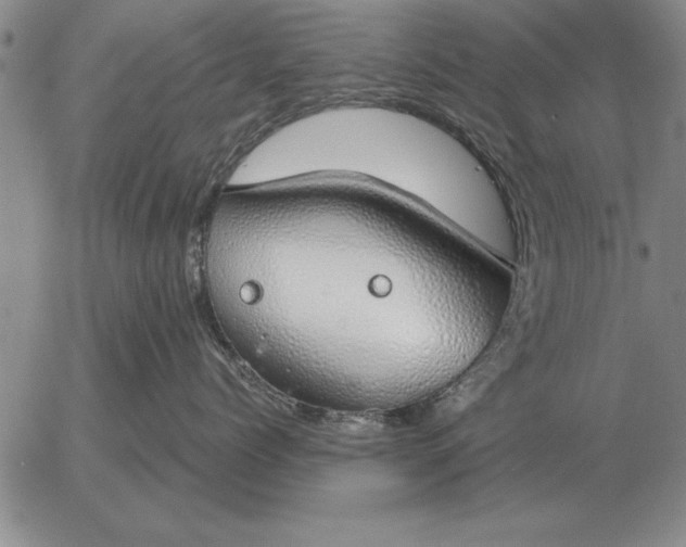 X0000056030768200509021822