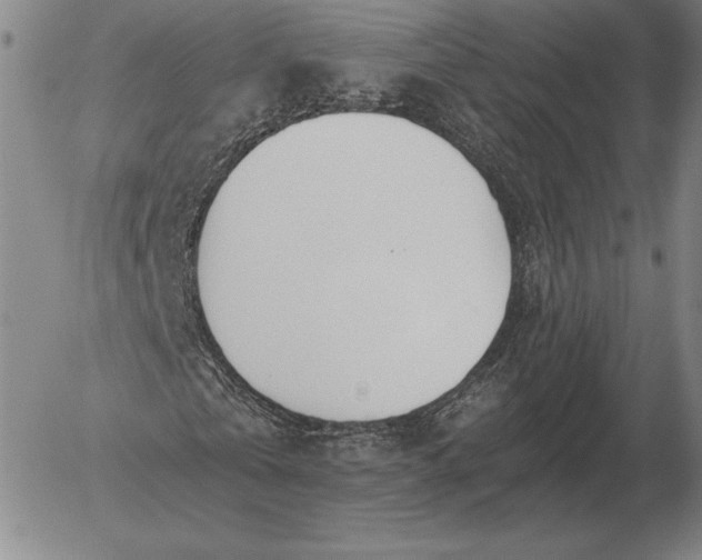 X0000056030769200509021821