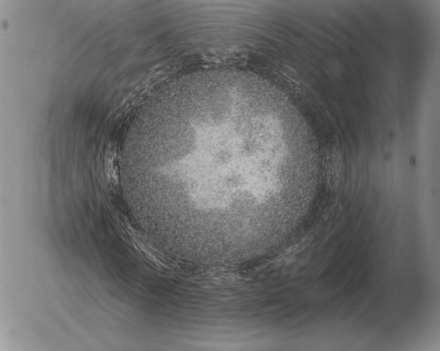 X0000056030770200509021821