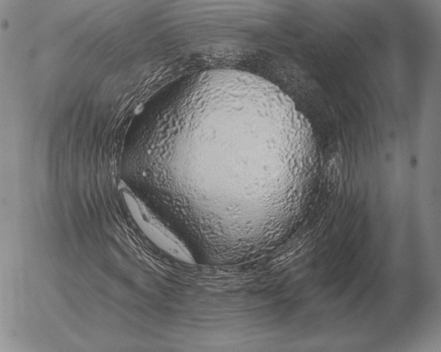 X0000056030772200509021821