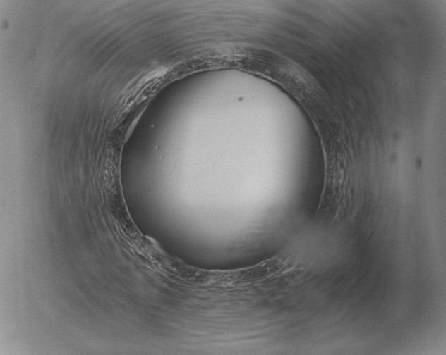 X0000056030773200509021821