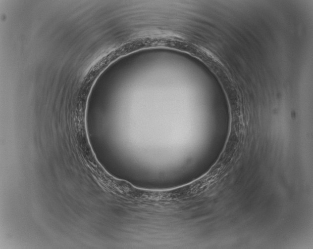 X0000056030775200509021821