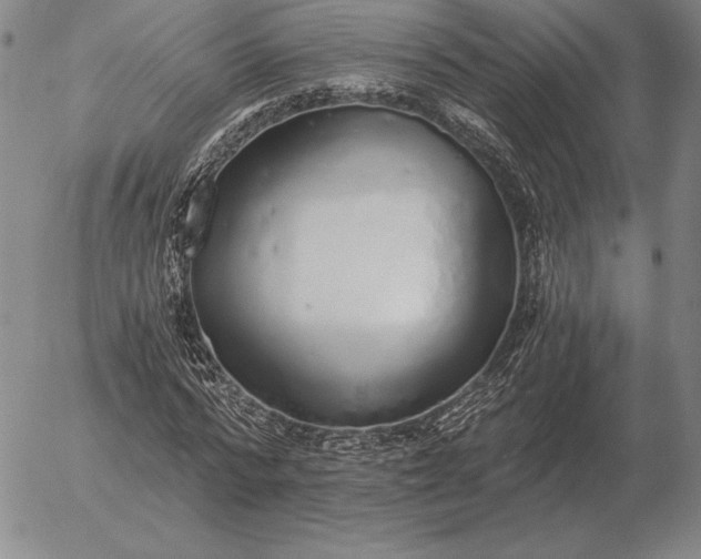 X0000056030776200509021821