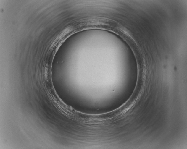 X0000056030777200509021821