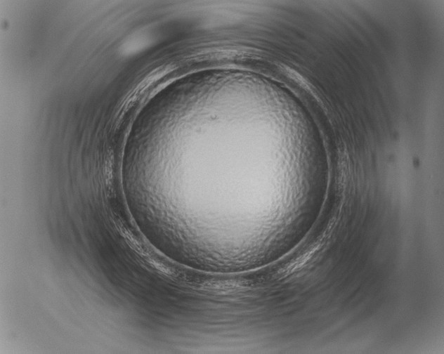 X0000056030778200509021821