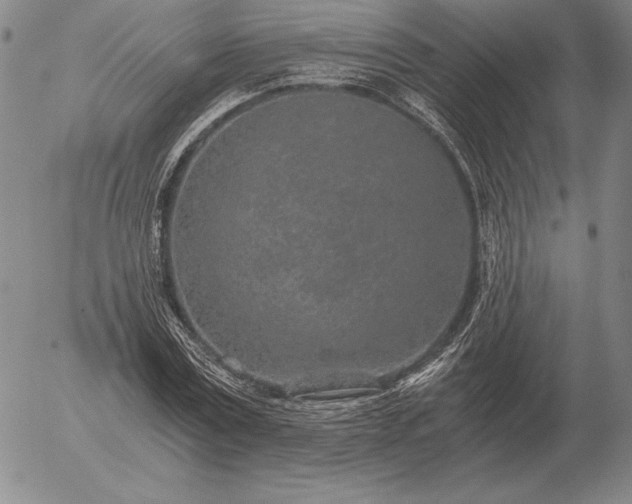 X0000056030779200509021821