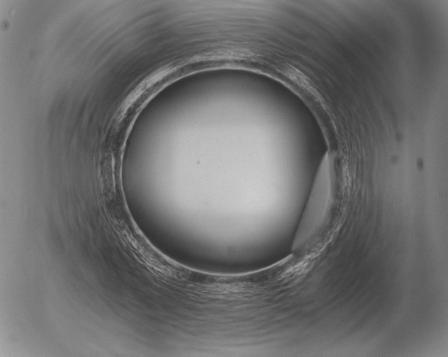 X0000056030781200509021821